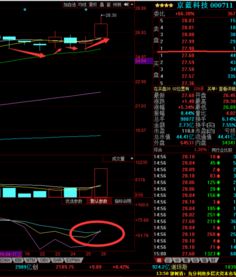 京藍科技（000711）重磅消息流出 計算機軟硬件技術(shù)開發(fā)迎來新機遇