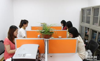 軟硬件開發(fā)職場生存法則 從技能精進(jìn)到職業(yè)發(fā)展的全面指南